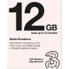 Three Data Only SIM Card 12GB