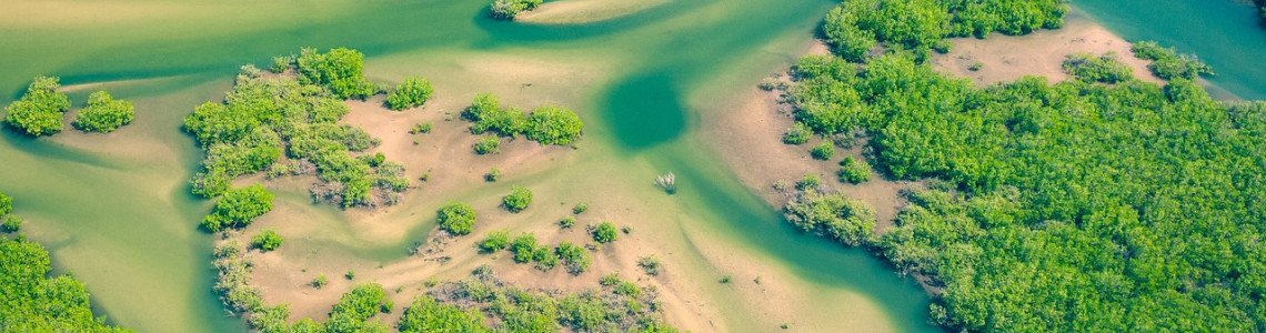 eSIM Senegal