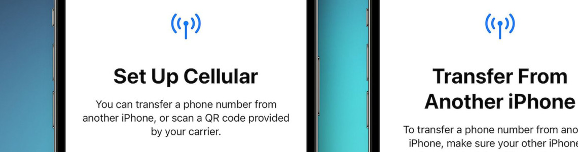 2023 Guide to Transfer eSIM to New iPhone