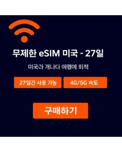 미국 무제한 eSIM - 27일