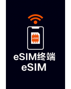 eSIM终端
