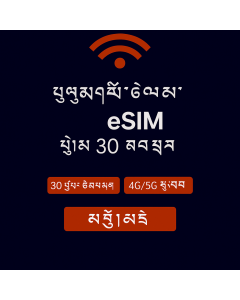 ཡོ་རོབ་གི་གནད་སྡུད་ཚད་མེད་ – ཉིན་སུམ་ཅུ་ eSIM