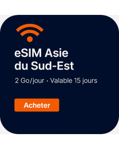 Quinze jours de voix/données eSIM (2 Go par jour illimités)