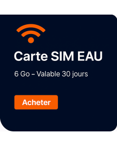 Six Go, trente jours, données SIM illimitées aux ÉAU