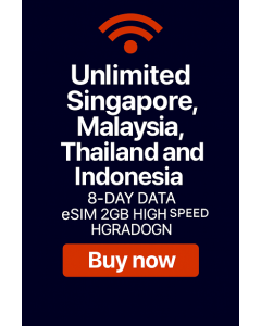 Buy Singapore Malaysia Thailand Indonesia 2GB SIM Call SMS