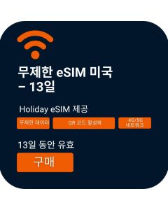 13일 미국 무제한 데이터 eSIM 활성화