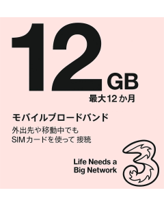 Three Data Only SIM Card 12GB