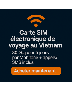 Carte SIM électronique de voyage au Vietnam – 30 Go pour 5 jours par Mobifone + appels/SMS inclus