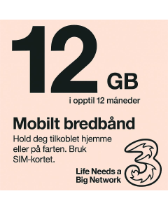 Three Data Only SIM Card 12GB